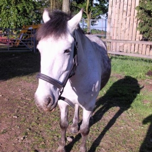 Enjoying The summer sunshine