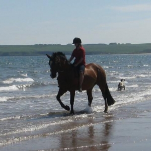 honey beach 1