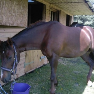 Lou@bathtime
