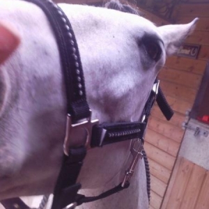 Smooches For Mommie :)