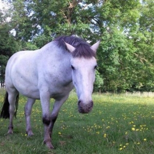 My Fatty :)