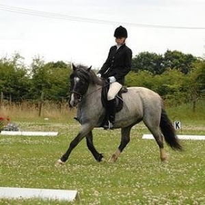Denby Dressage