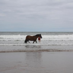 The Beach
