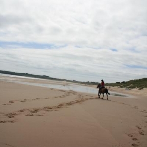 The Beach