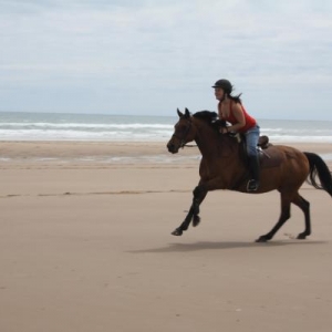 Going for a gallop
