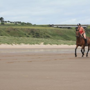 Mum galloping