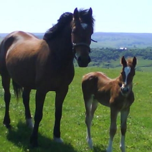 Storm and mum at 3 weeks