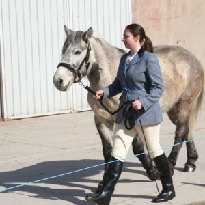 This was our first ever show together (with Tilly being handled for only a couple of months).