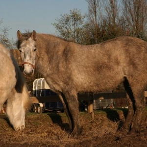 Only had her a few days at this point.