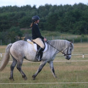 Looking much better at dressage