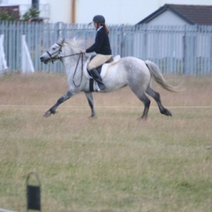 Not much control here. Although, the judge did beep her horn as we went past, to tell me I had not picked up canter, hmm I wonder why!