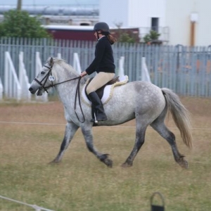 nice trot, ignore head!