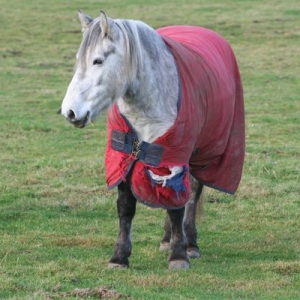 forget mum, over there's more interesting