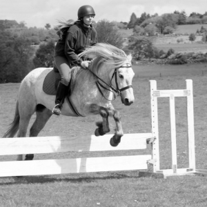 Not quite as speedy as last time.  We managed to go over it instead of disappearing up the hill. lol