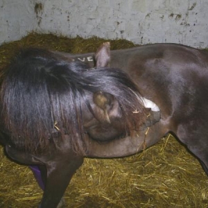 Having an itch!