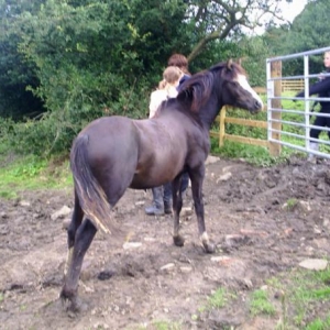 Having a nosey