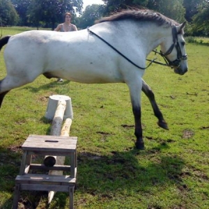 First Time Jumping!