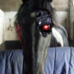 iAmTerminated | New Rider Forum