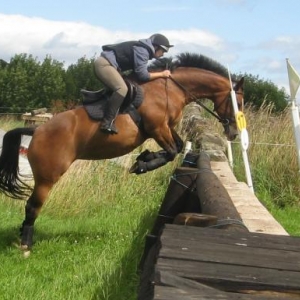wall pic - didn't mean to jump this big..... kinda cantered towards it thinking nice wall - got nearer and nearer and it got bigger and bigger!!!! so did thelwell kick and got over :D