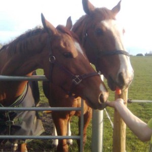 share that carrot with me!!