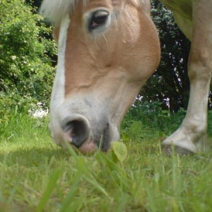 'leave me alone mum, im eating'