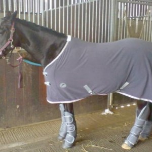 p*ssed she wasnt going in the field with the rest!!!
