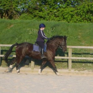 Black Mare