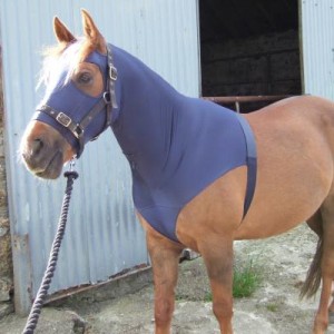 harry staring into space