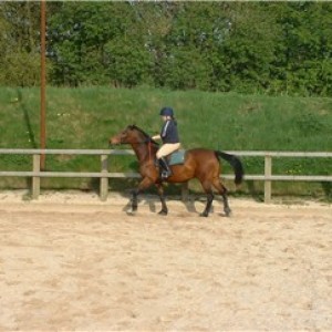 when i 1st went back to riding