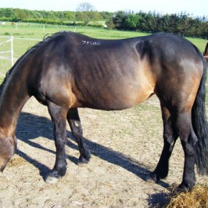 Martini 26th May '08