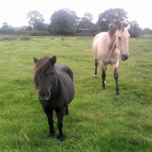 1st time they've met