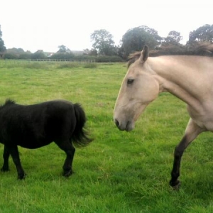 Faye is the boss and sweep knows it :)