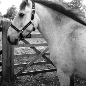 Cutieee