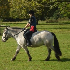 Being A couch potatoe rider :P