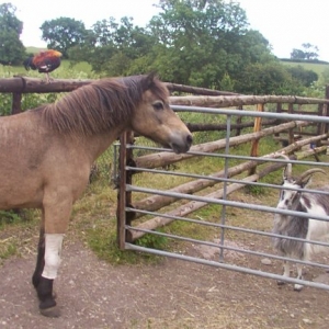Sherry 1975 - 2007