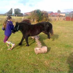 Getting ready for Badminton 2010 ;-)