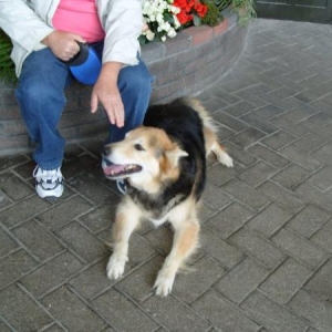 Baxter enjoying a day out