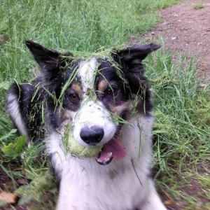 Grass face :)