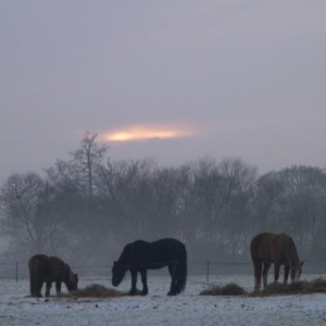 december24th 103 evening