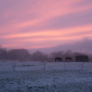 december24th 126 pink sky