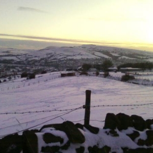 Bailey's field