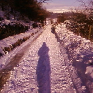 Lane to yard, frozen.. brrrrrr!