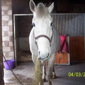 Handsome lad!!
