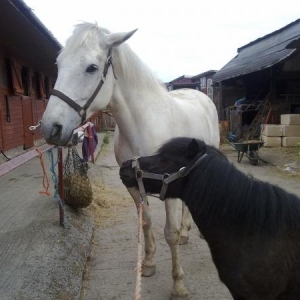 Bog off, its my hay!!