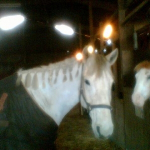 The very first photo I took of T. Before I bought him