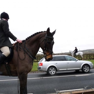 hunt outside our top gate
