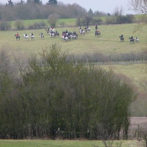 Across the road and up the hill.