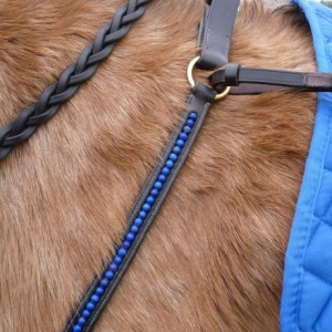 KV breast plate and reins