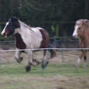 RACETRACK3