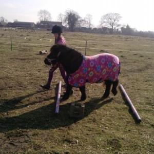 Troting Poles